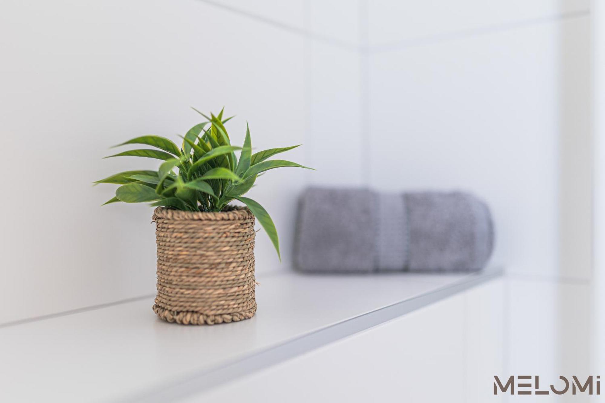 Melomi 1 Apartman Sárvár Buitenkant foto